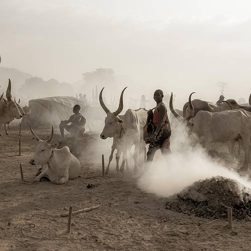 New York Photography Awards Winner